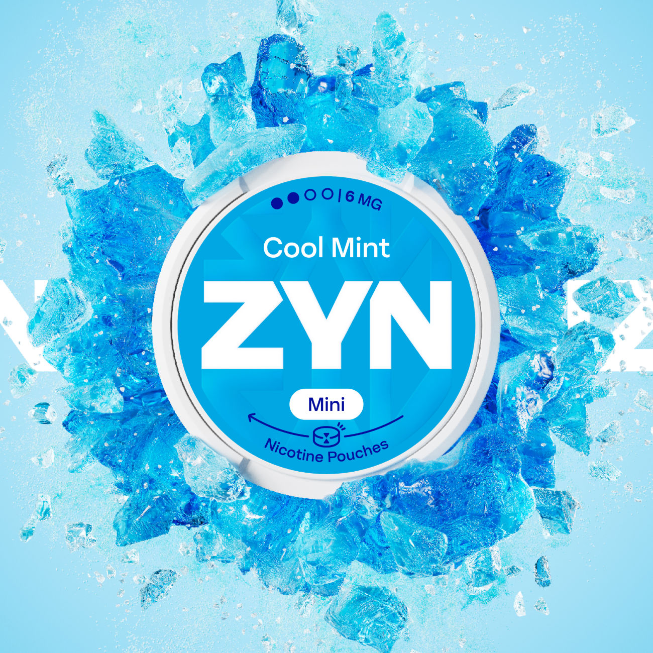 ZYN COOL MINT 6 MG (KRABIČKA)